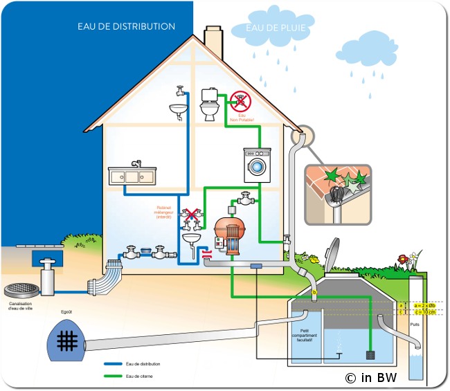 Collecteur d'eau de pluie : fonctionnement & installation