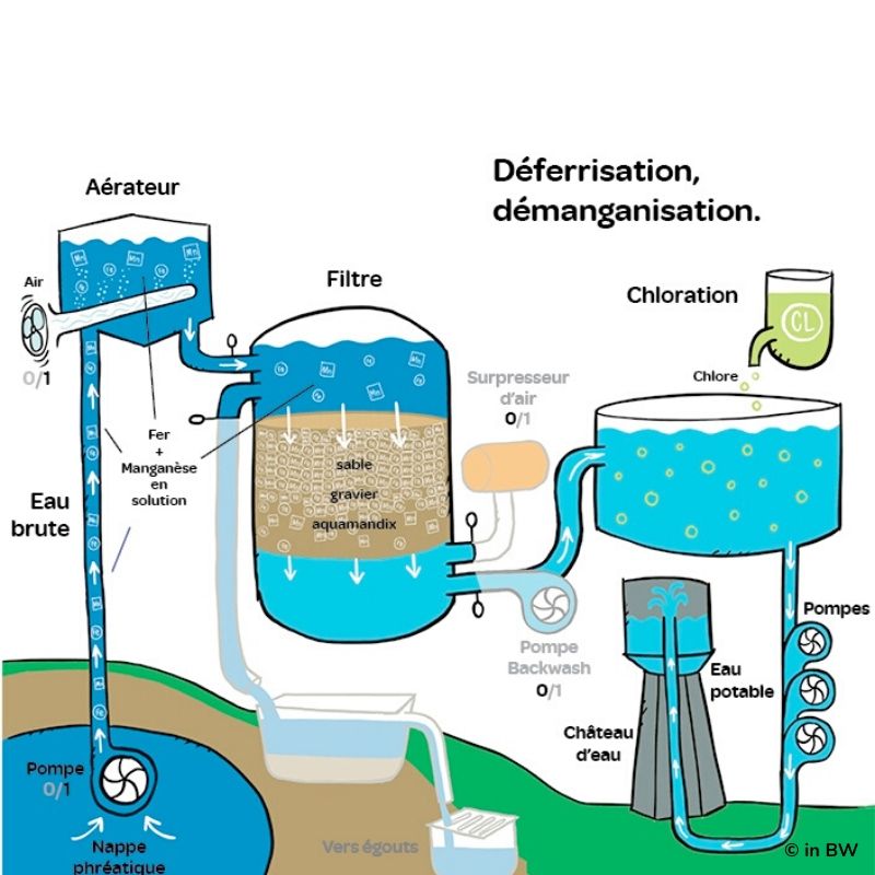 Traitement en eau potable : problèmes liés aux algues et au
